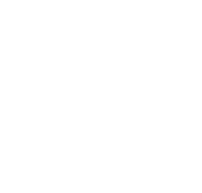 Face Loft Logo